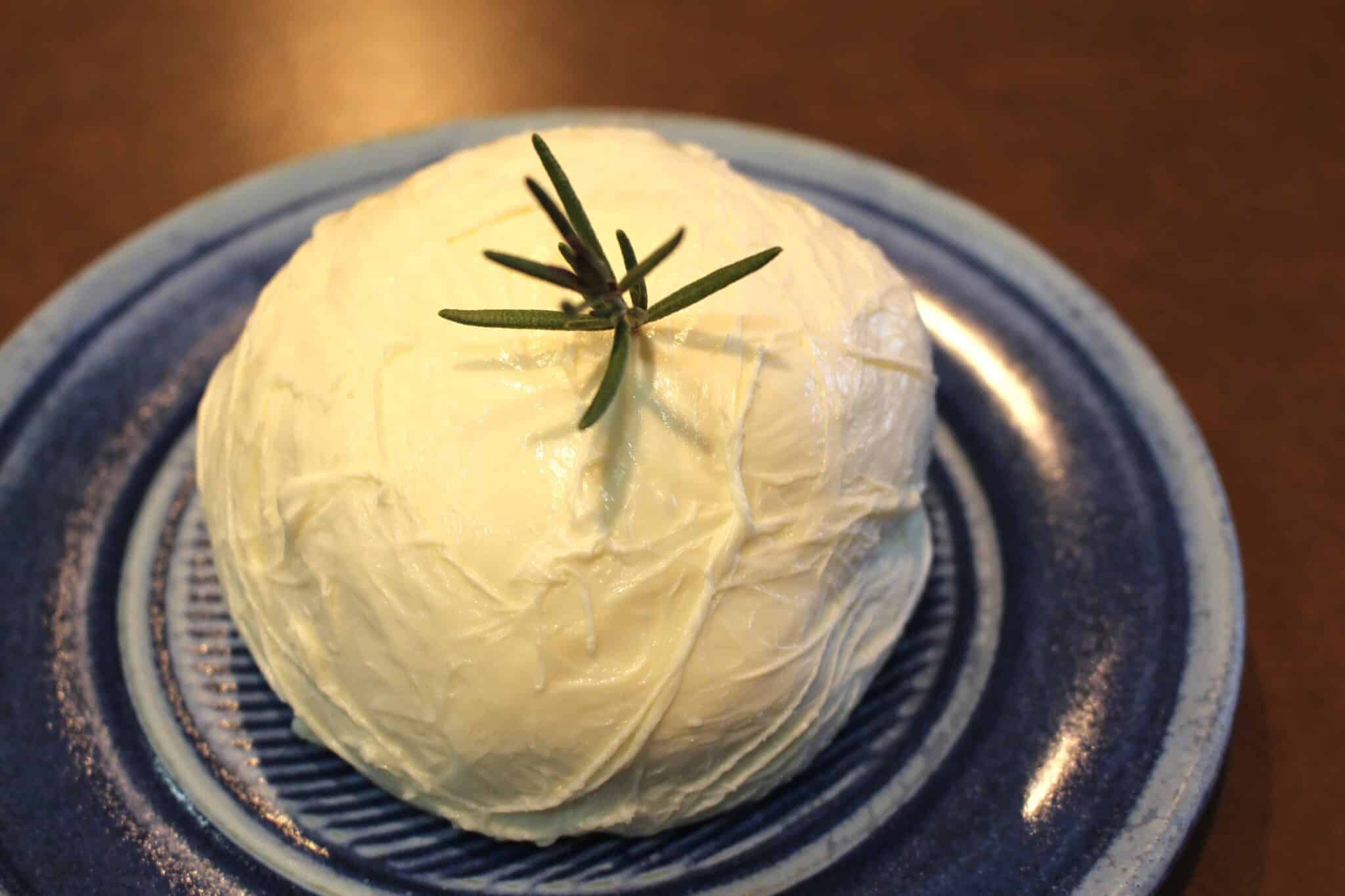 Fresh Mozzarella Cheese Recipe Idea Shop