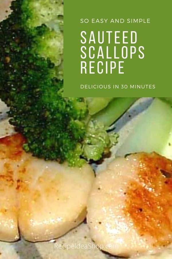 Sautéed Scallops are so yum! And you don't have to pay $30 a plate for them. #sauteedscallopsrecipe #sauteedscallops #fish #health #healthyrecipes #recipes #glutenfree #recipeideashop