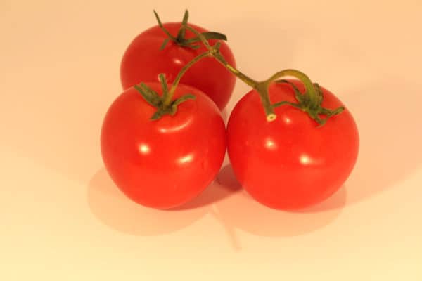 Campari tomatoes