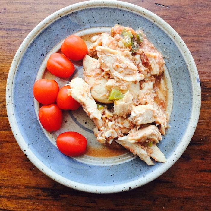 Slow cooker shredded chicken is juicy and tender. The tomato sauce and salsa add flavor.