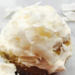 Cupcake with Frosting and Coconut
