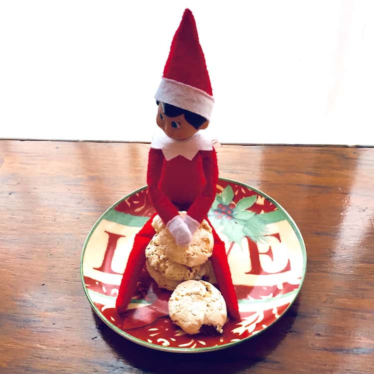 "Who me?" replies El Cocinero. "I didn't take a bite out of your Coconut Kiss!" Luckily, the Coconut Kiss Cookie recipe makes a LOT of cookies and they are only about 59 calories each. So have a couple!