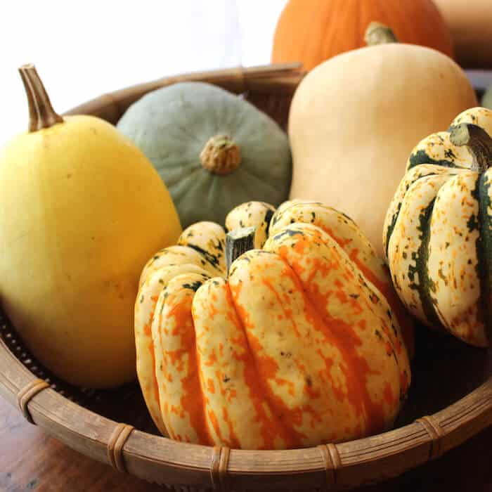 Basket of squash. The yellow squash on the left is a spaghetti squash. Others pictured: variegated acorn squash, butternut squash (lighter yellow one in the back), hubbard squash (green one).