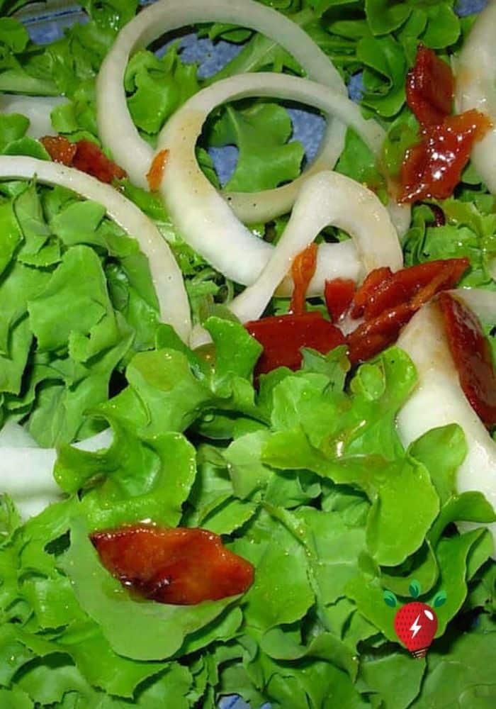 Wilted Lettuce with Warm Bacon Dressing. Super easy. #WiltedLettuceBaconDressing #HotBaconDressing #SaladRecipes #Recipes #GlutenFree #DairyFree #Bacon#HealthyTwist #RecipeIdeaShop
