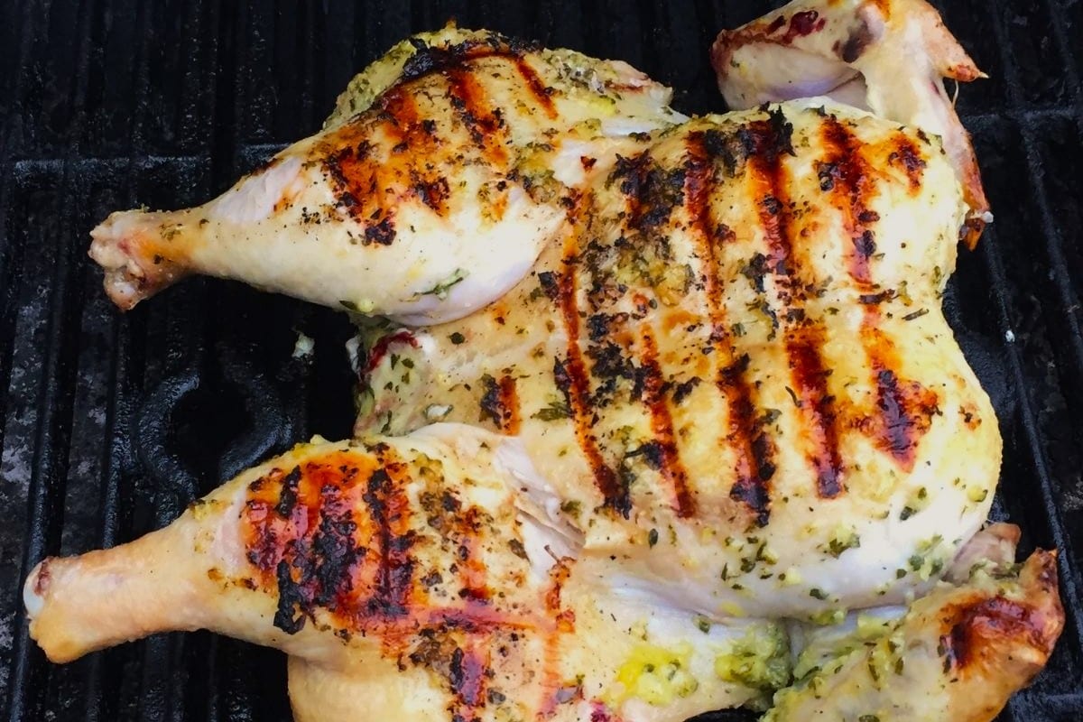how to spatchcock and grill a chicken