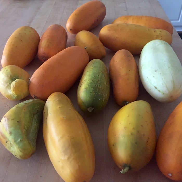 I decided to salvage these HUGE over-ripe cucumbers by baking them. What a great idea!