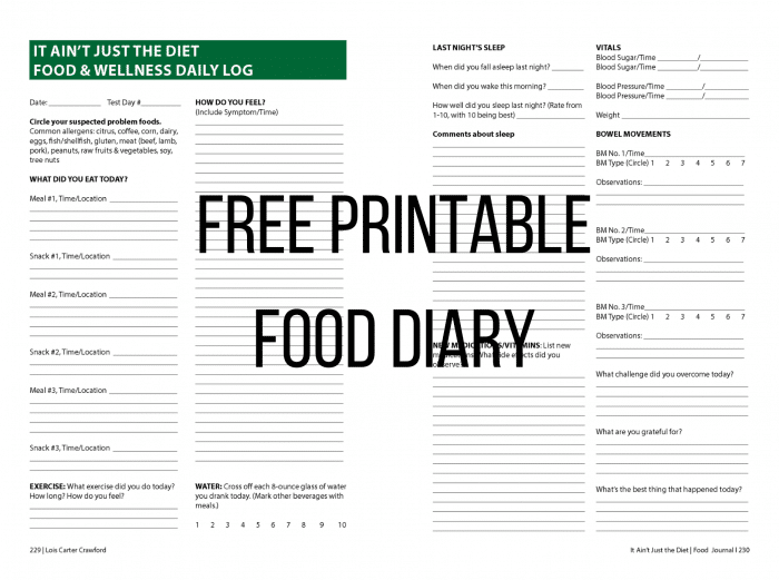 Free Printable Food Log Diary