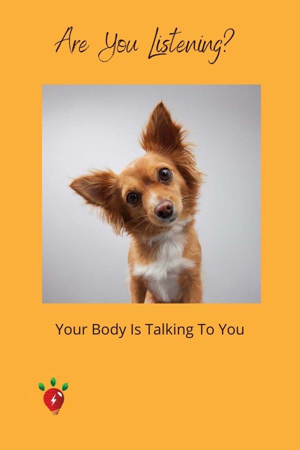 Picture of dog listening: Listen to your body. When your body talks to you, do you pay attention? What does it mean when your joints hurt? Or you are always stuffed up? #ListenToYourBody #YourBodyTalks #ItAintJustTheDiet #FoodAllergies #RecipeIdeaShop