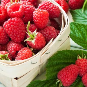a basket of fresh raspberries