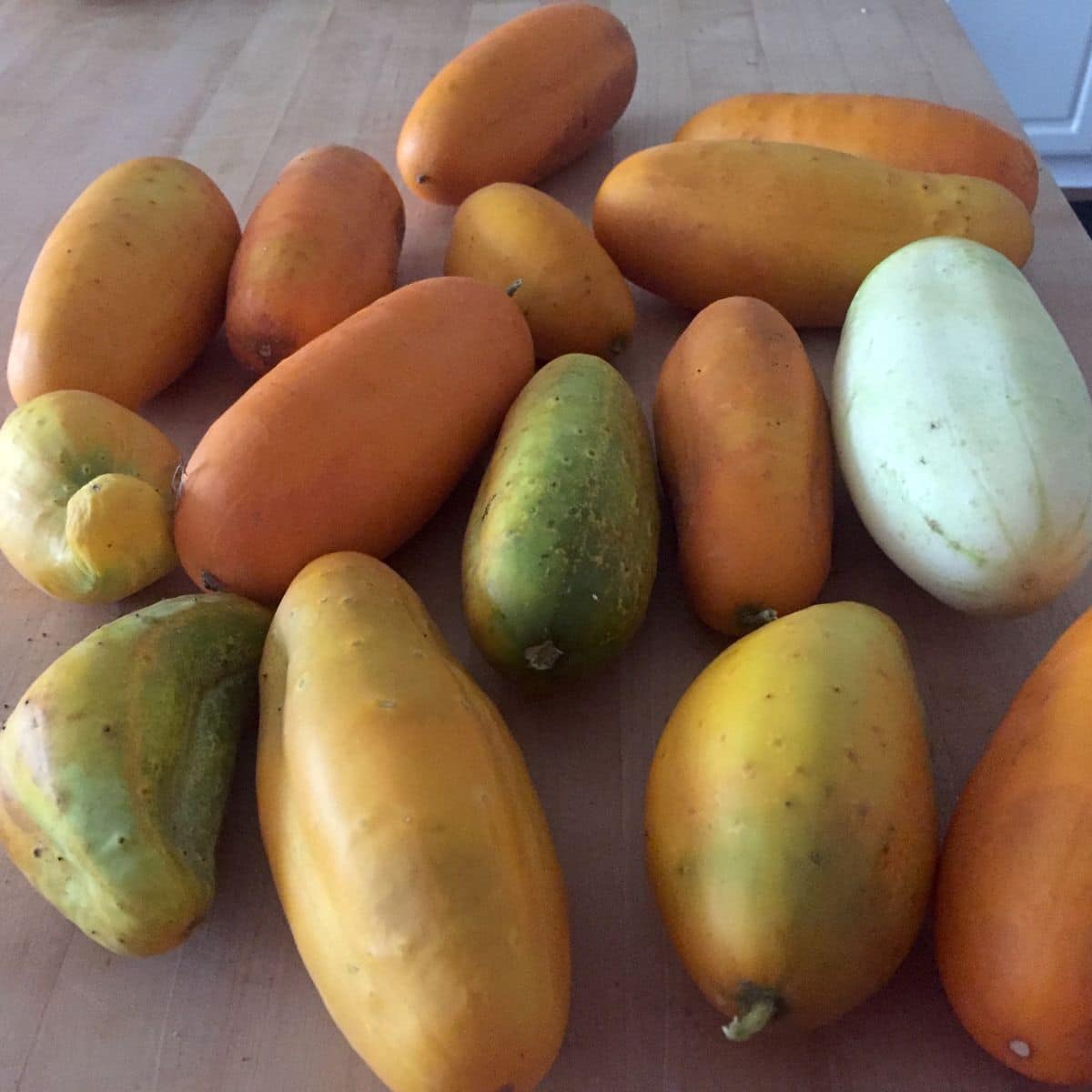 large, overripe cucumbers