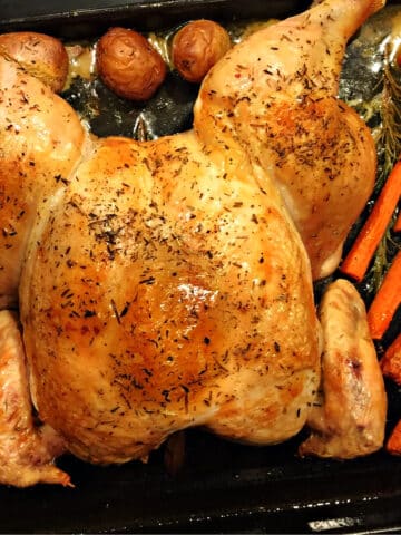 roasted spatchcock chicken with vegetables