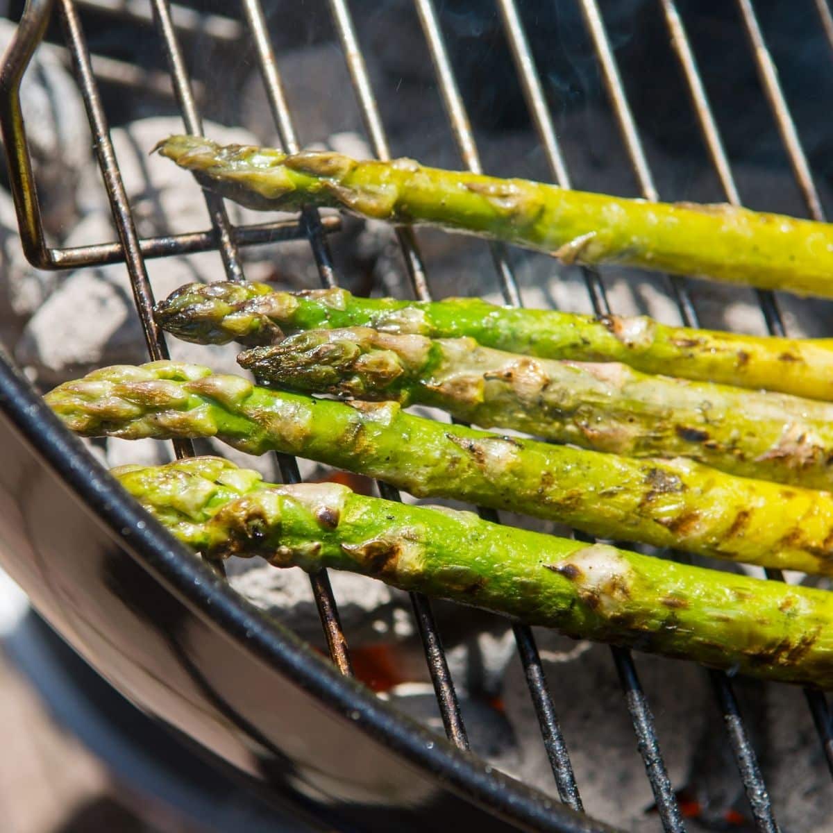 asparagus on the grill