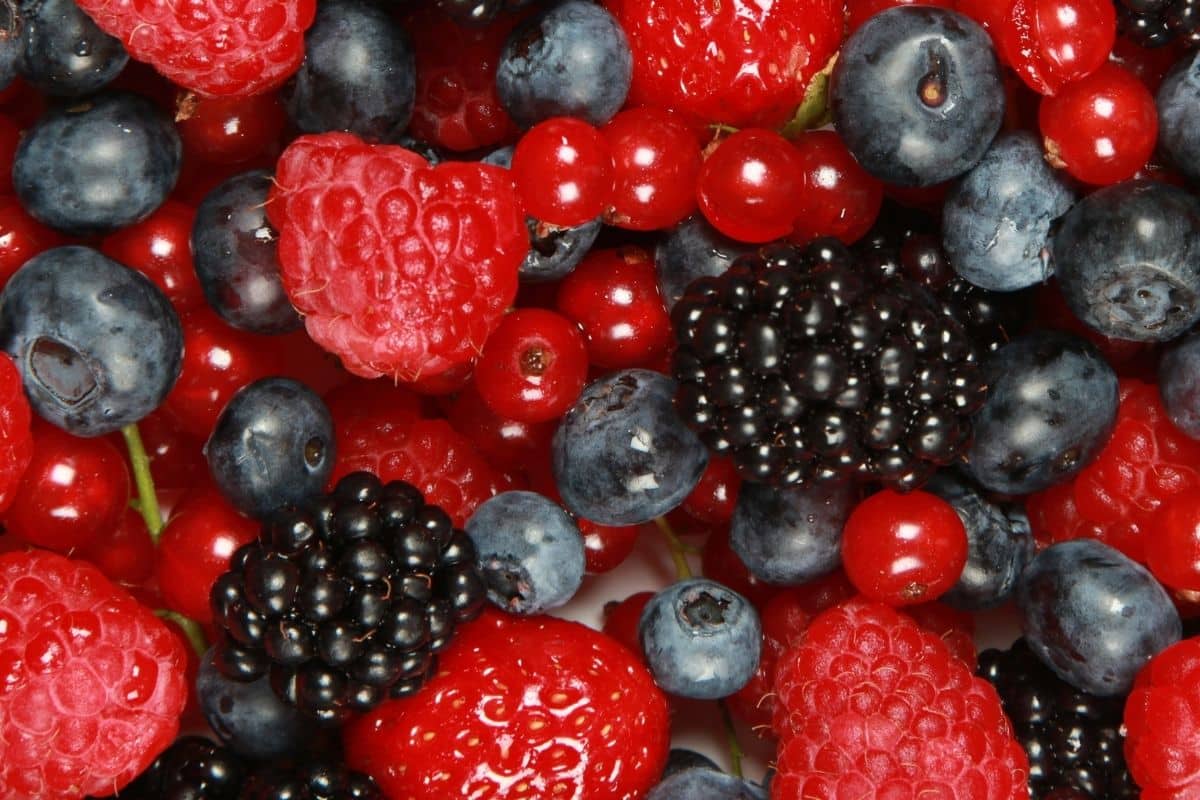 fresh mixed berries