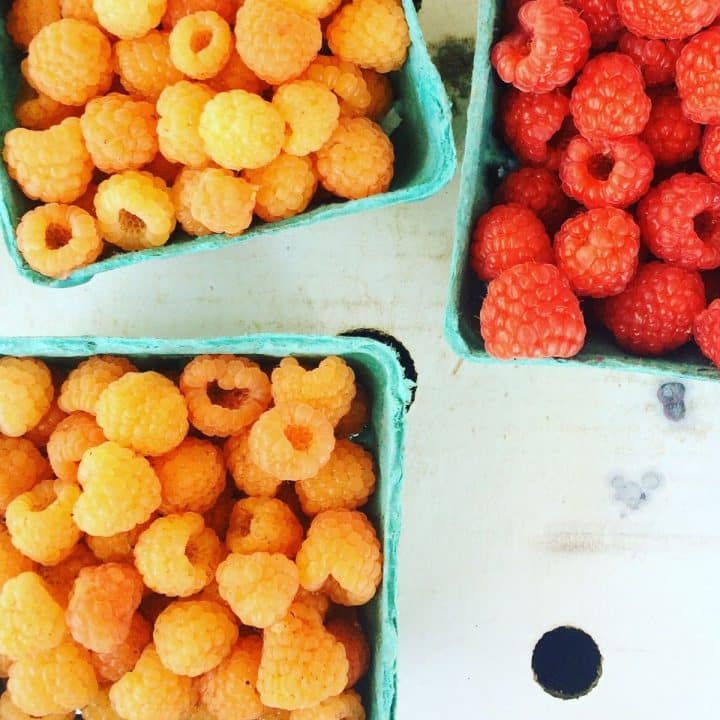 43 Delicious Raspberry Recipes Recipe Idea Shop