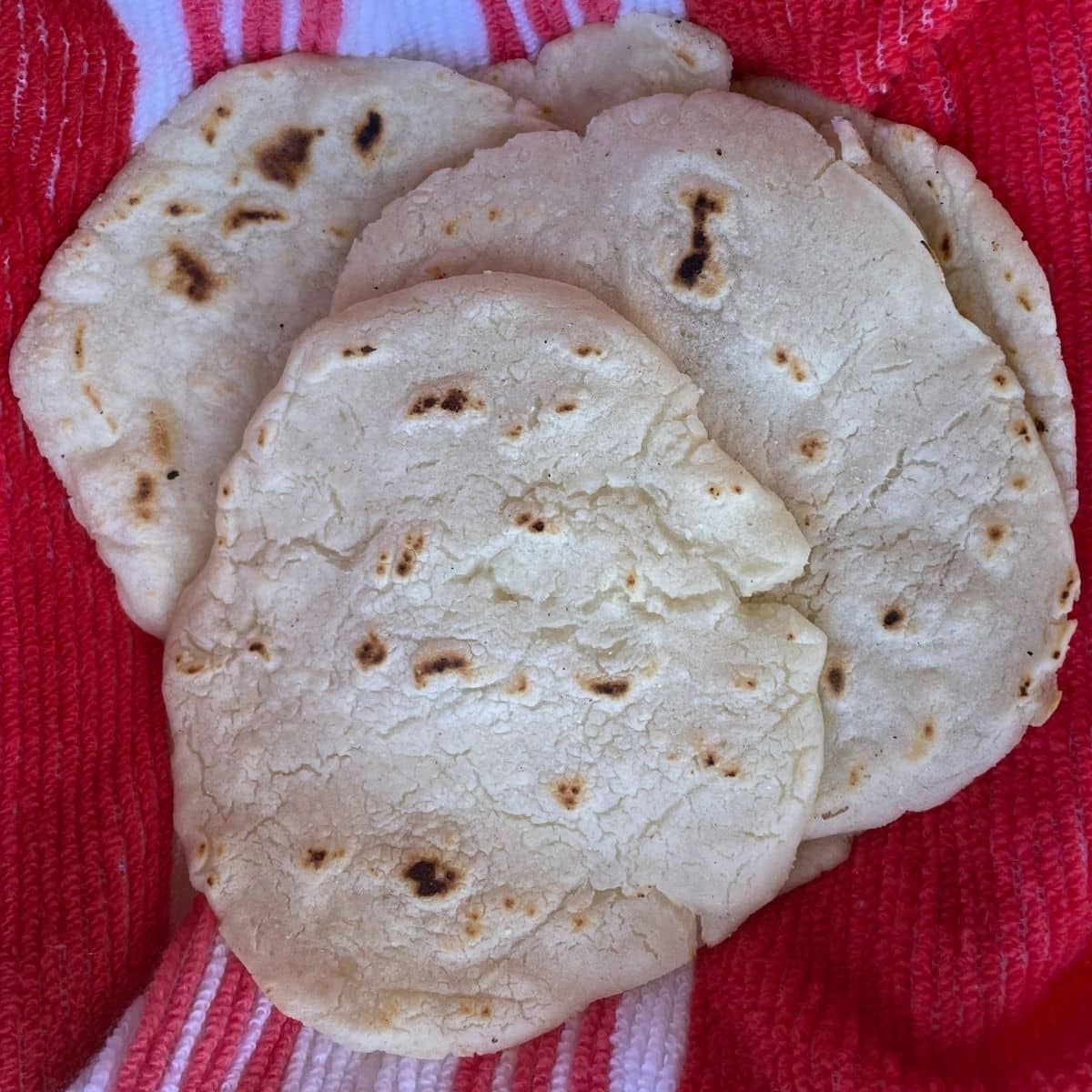 homemade corn tortillas