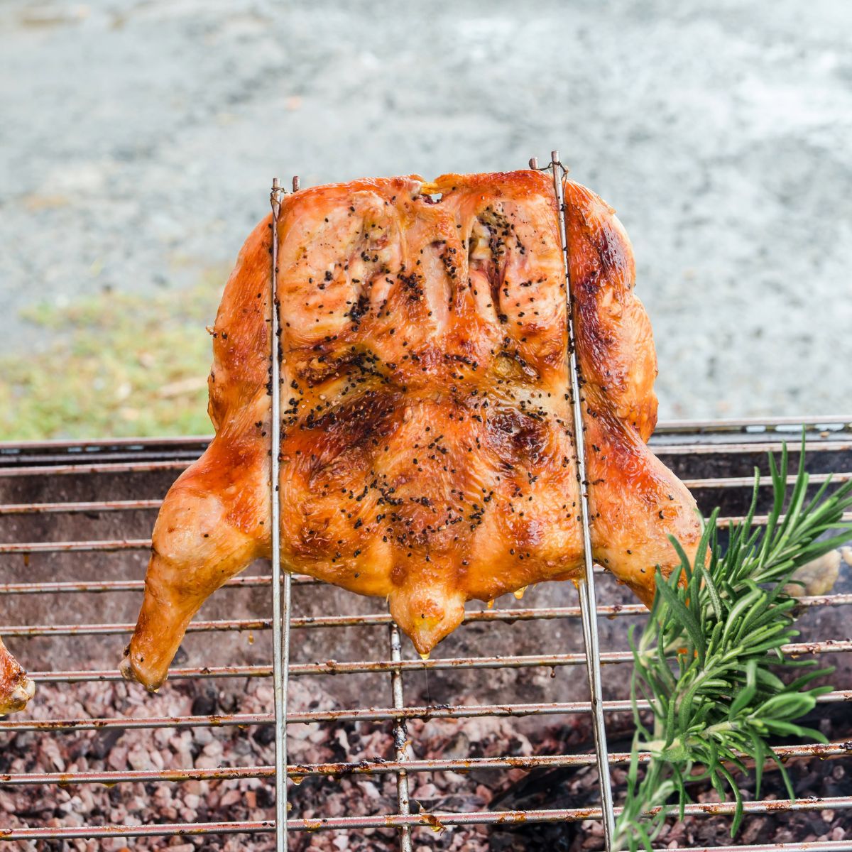 grilled spatchcocked chicken