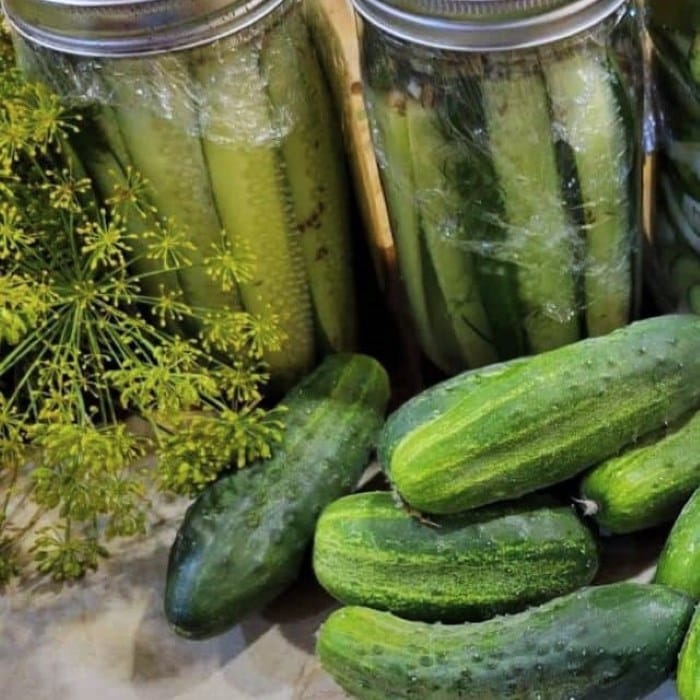 homemade canned pickles