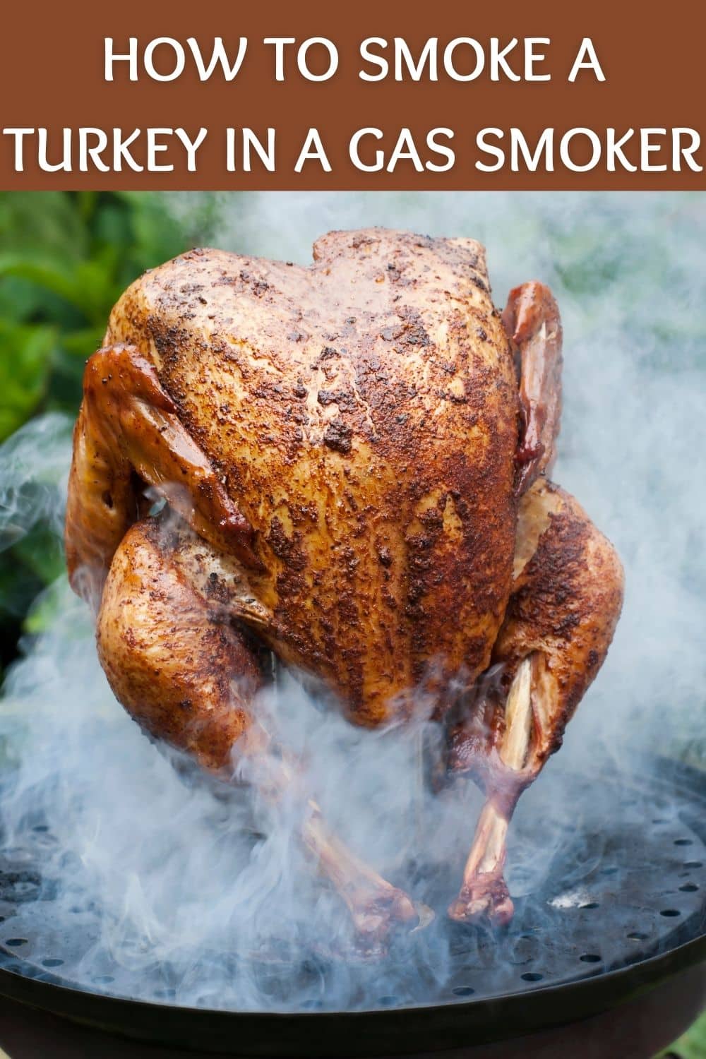 How To Smoke a Turkey in a Propane Gas Smoker with Ease Recipe Idea Shop