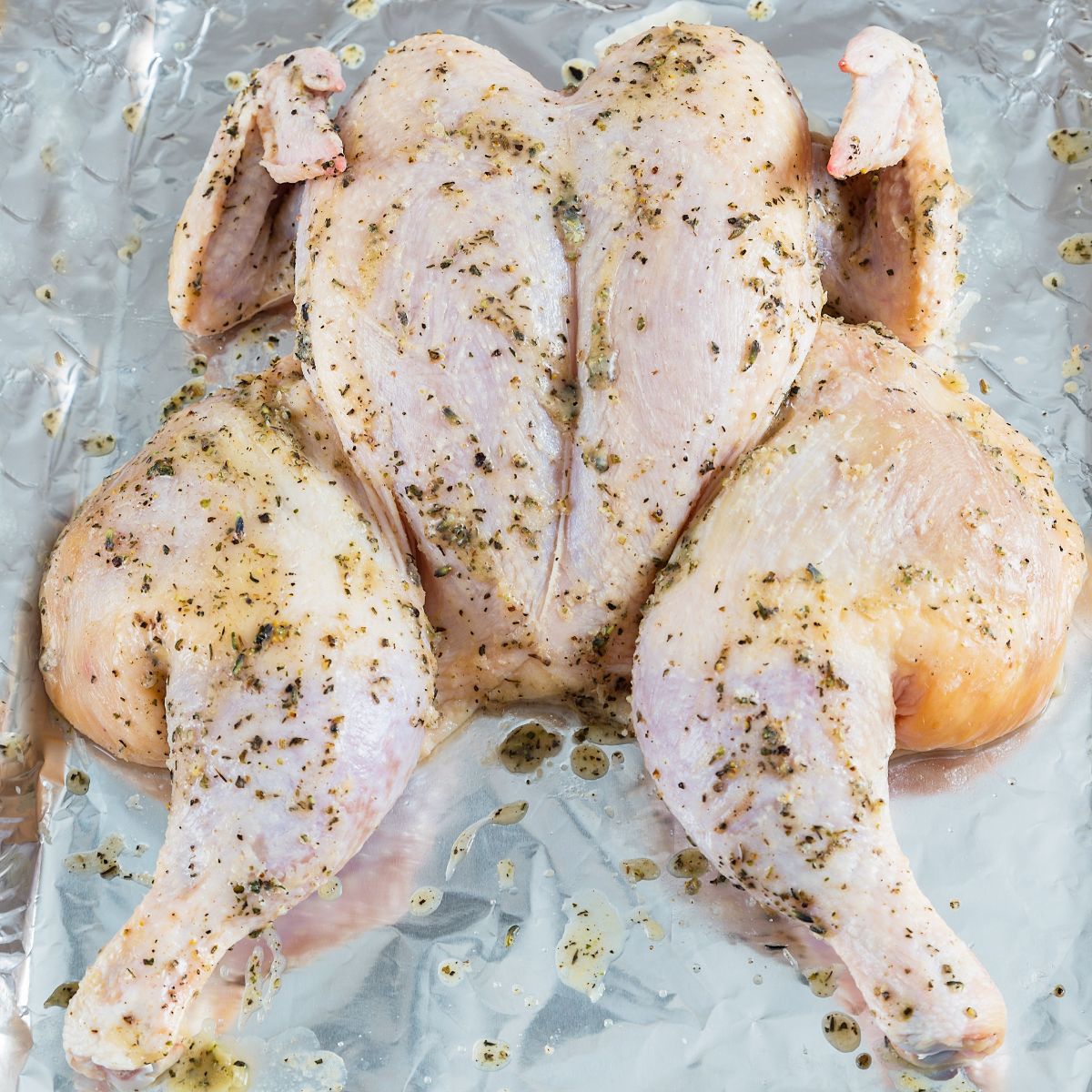 uncooked spatchcocked chicken