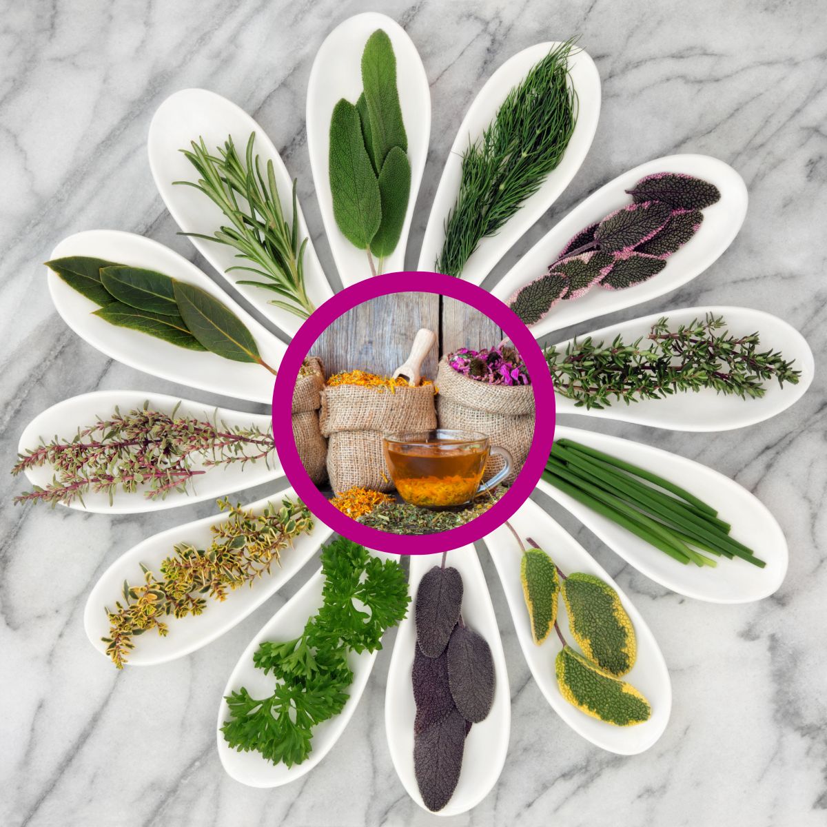 Fresh vs. Dried Herbs: Differences and Ratio