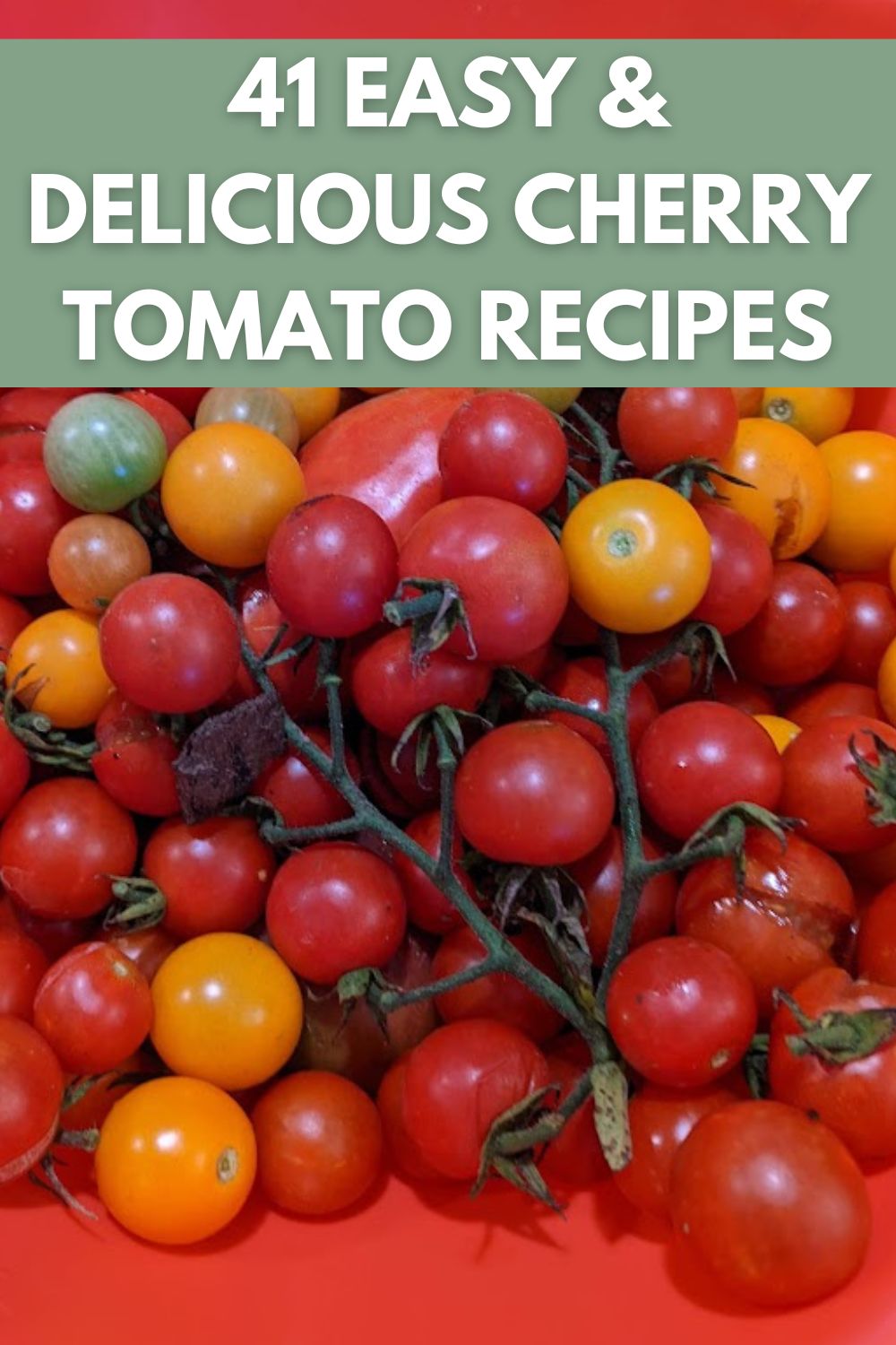 41 easy and delicious cherry tomato recipes