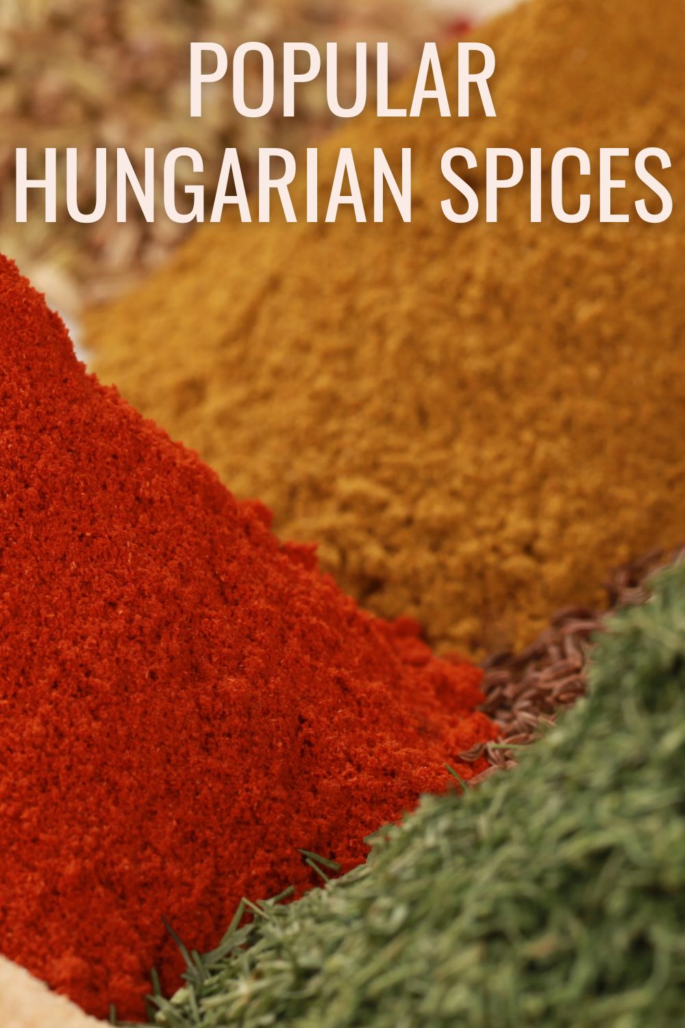 Popular Hungarian spices