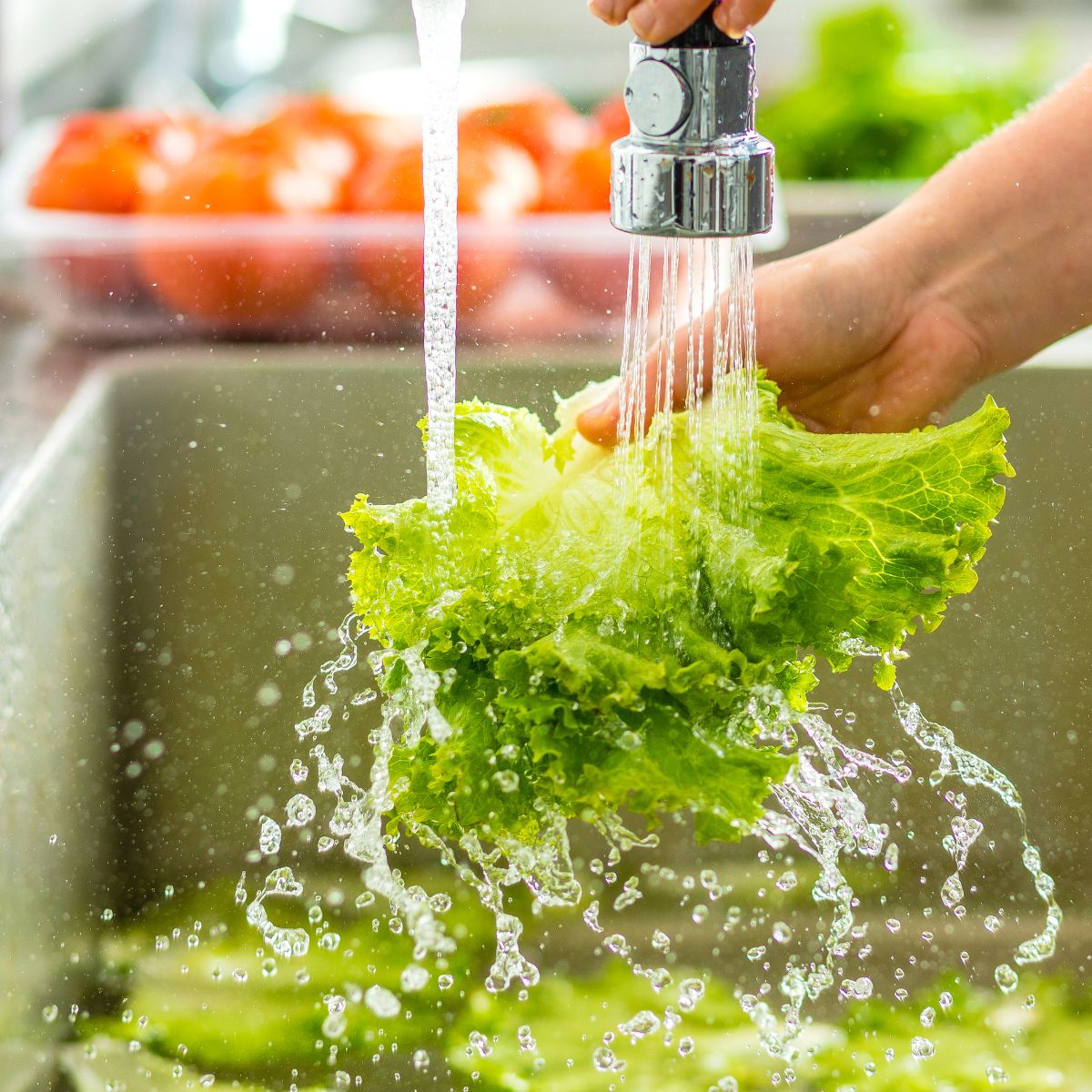 washing salad greens