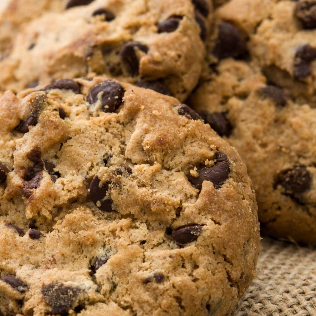 chewy choloclate chip cookies