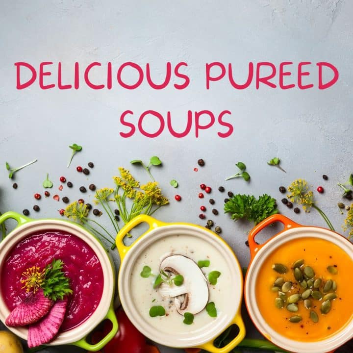 Best Pureed Soups Even Picky Eaters Will Love 16 Delicious Ideas