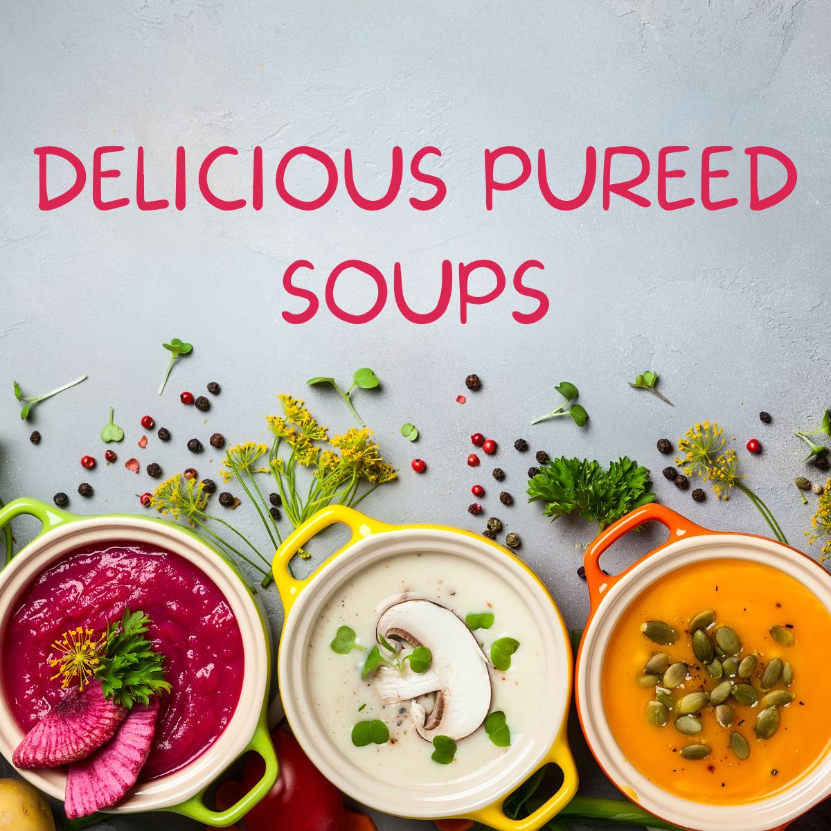delicious pureed soups