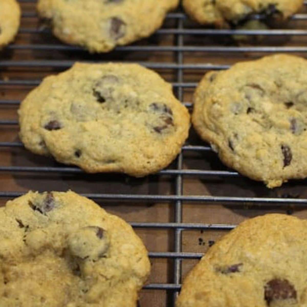 gluten free chocolate cookies