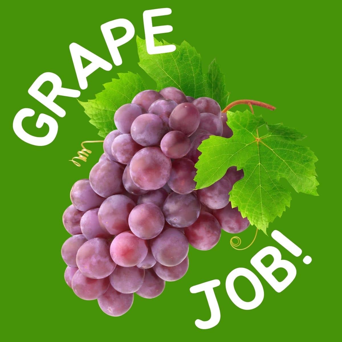 Cute fruit pun - grape job!