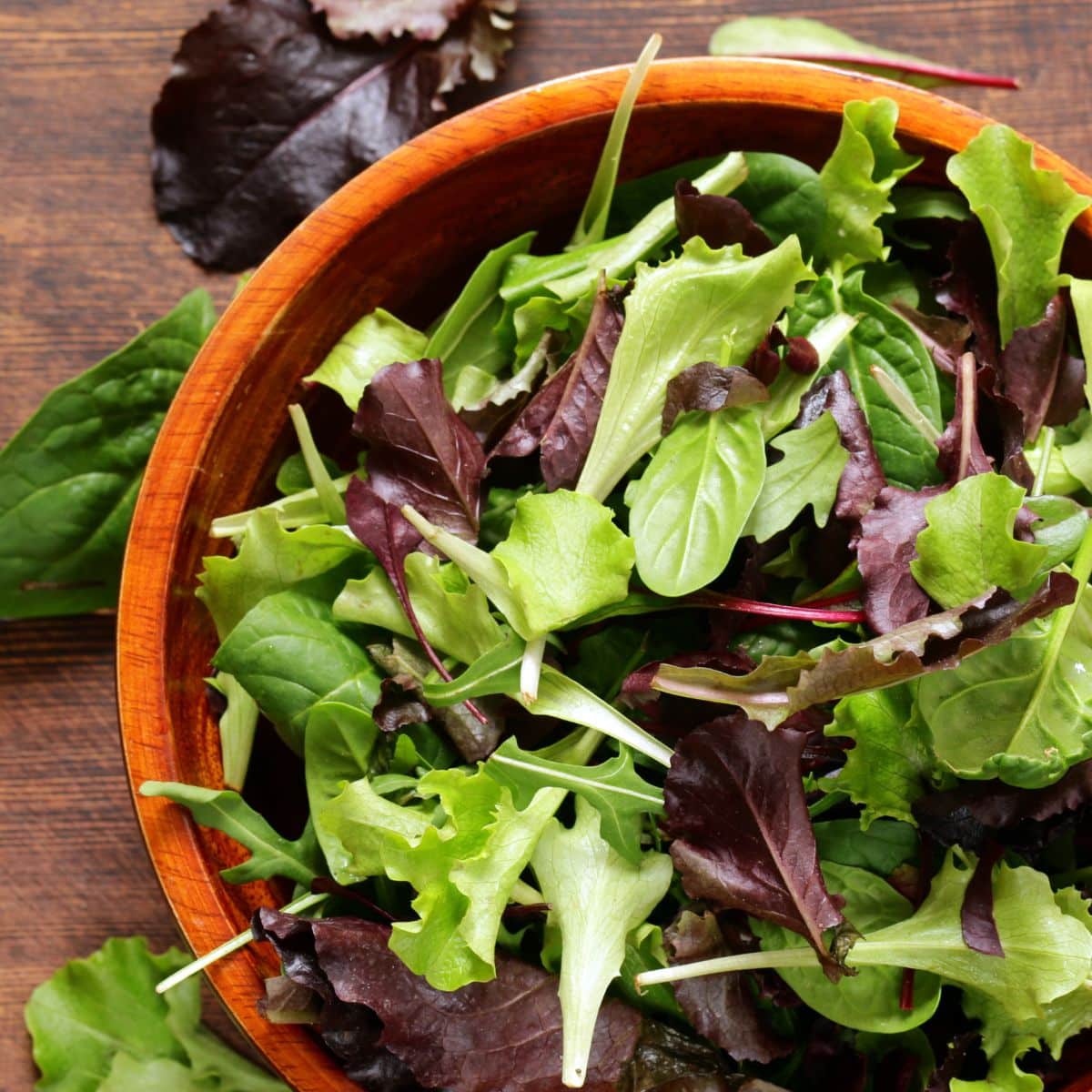 A bowl of fresh green salad.