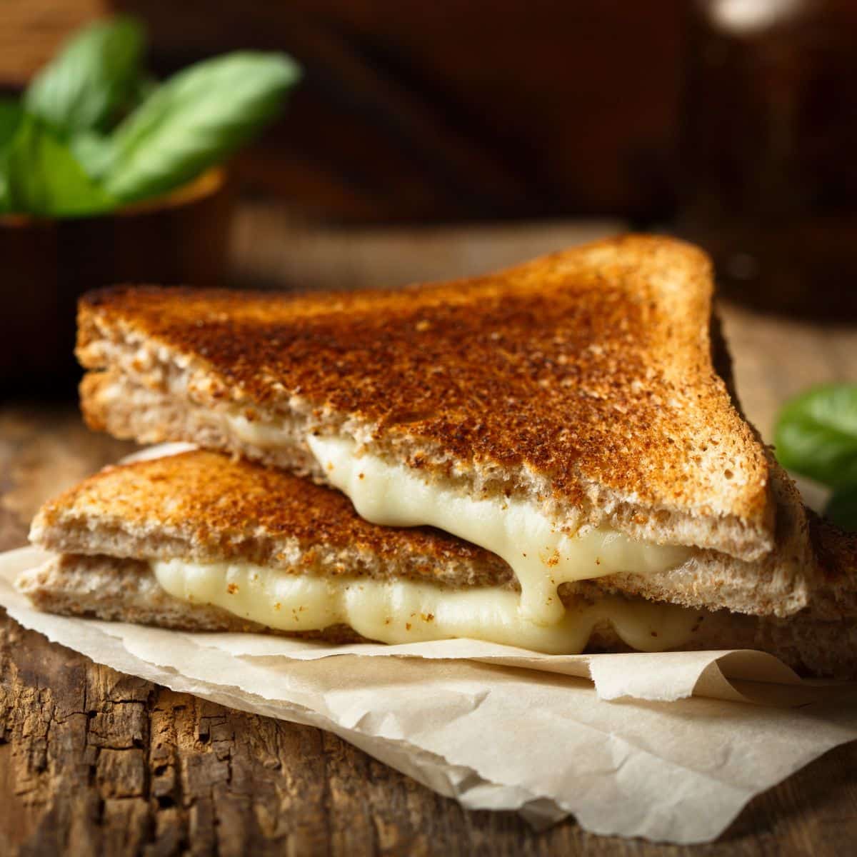 grilled cheese sandwich