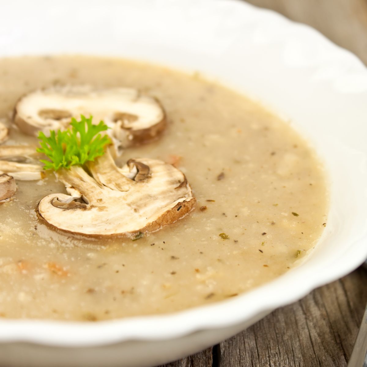 pureed mushroom soup