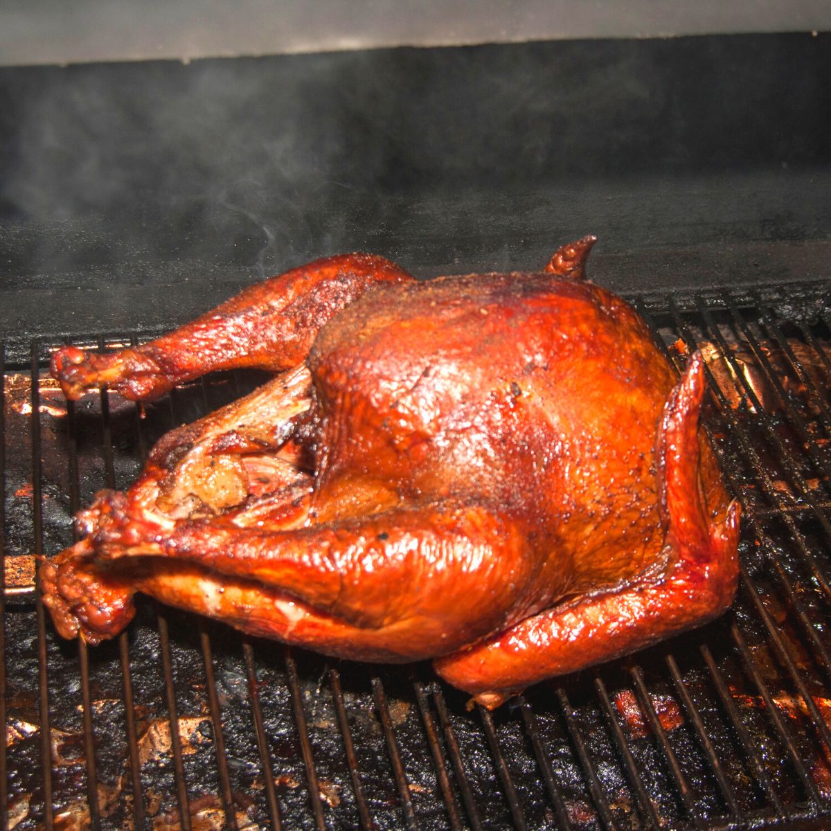 a beautifully smoked whote turkey sitting on the smoker grill.