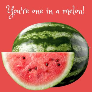 you're one in a melon - fruit pun