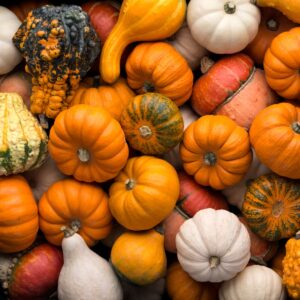 A pile of pumpkins: small, big, orange, white, green yellow, and more.