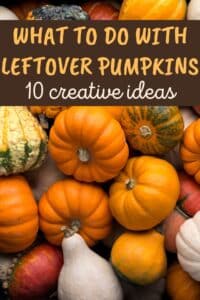 What To Do With Leftover Pumpkins: 10 Creative Ideas - Recipe Idea Shop