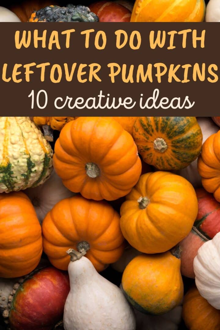 What to Do with Leftover Pumpkins: 10 Creative Ideas - Recipe Idea Shop