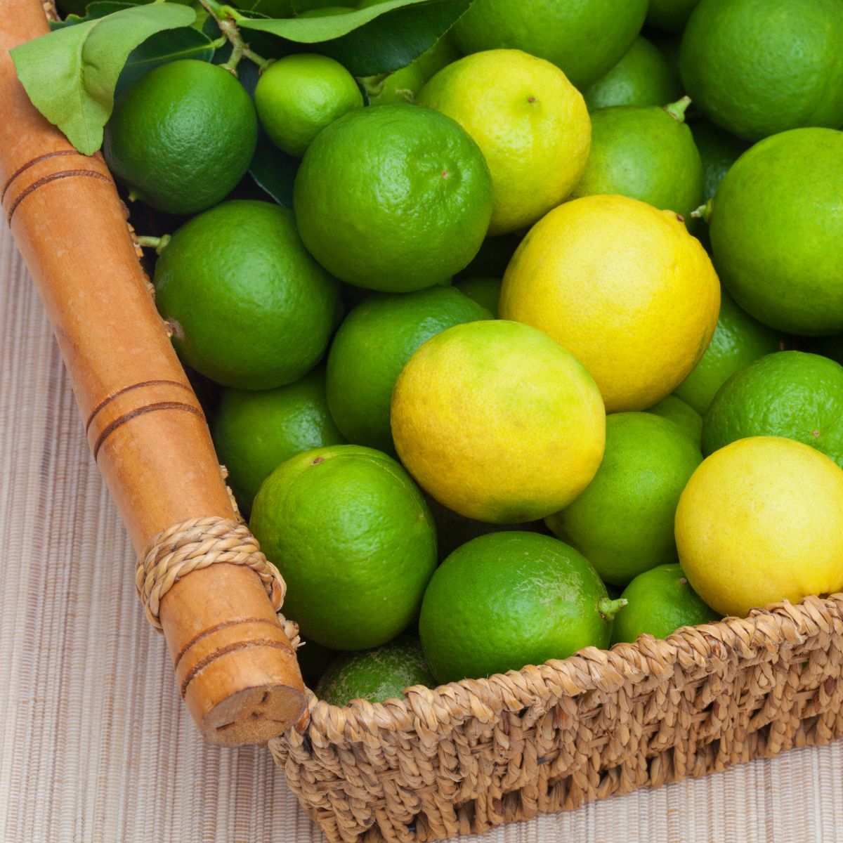 Key limes in a basket.