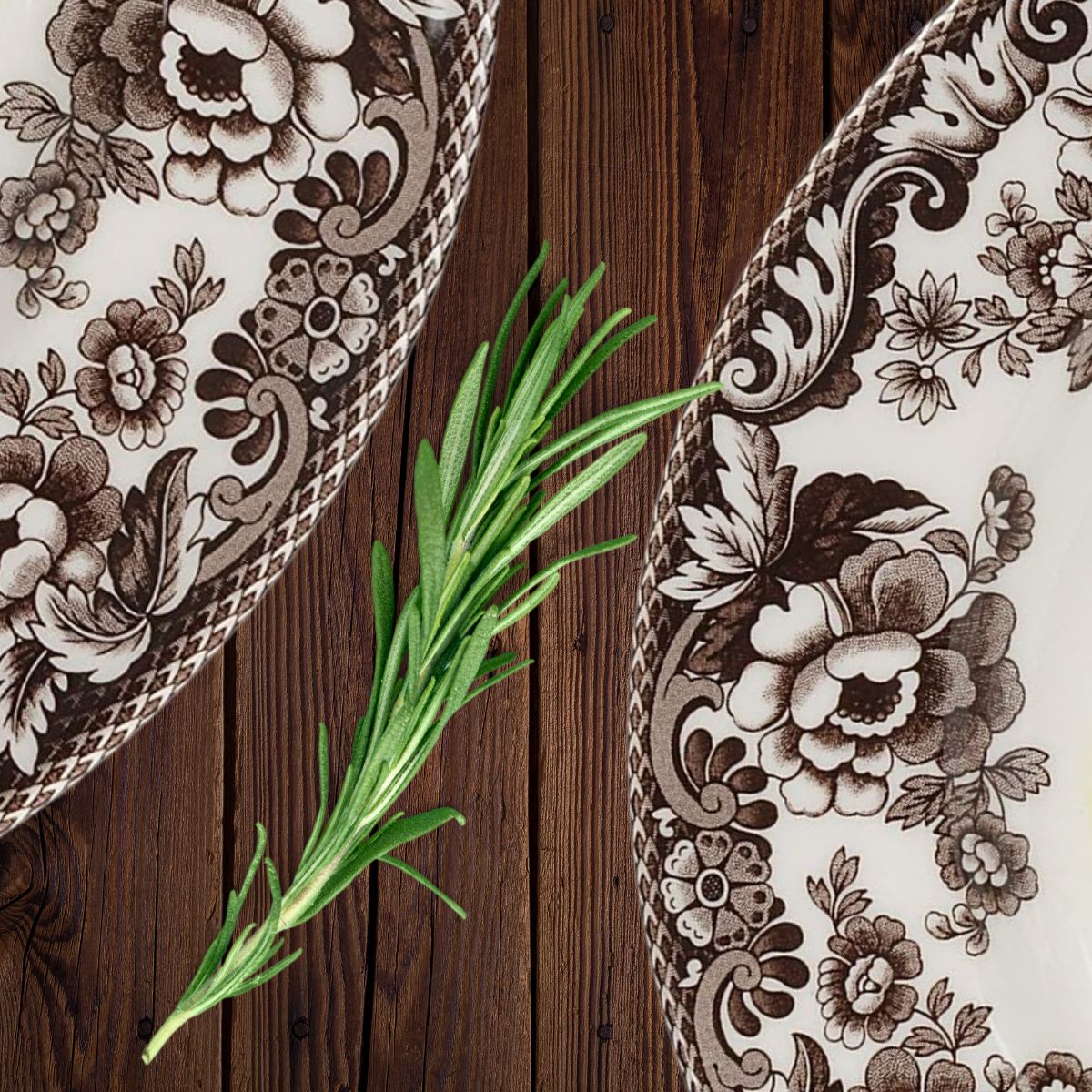 Spode plates on a wooden table with a rosemary twig.