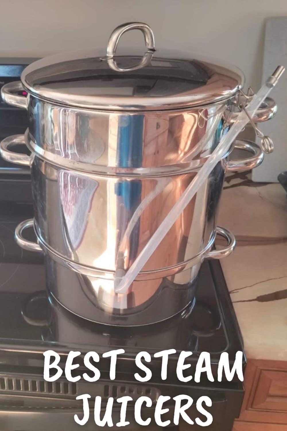 steam juicer Archives – A Gardener's Table