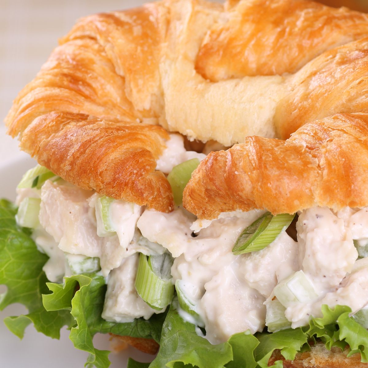 A closeup of a creamy chicken salad sandwich made in a croissant.