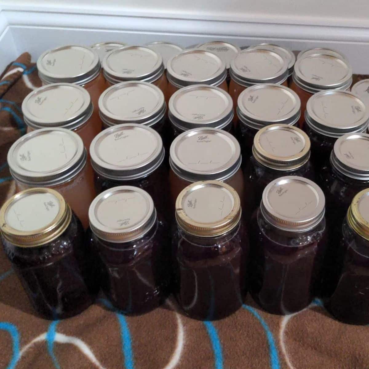 grape juice jars on a blanket.