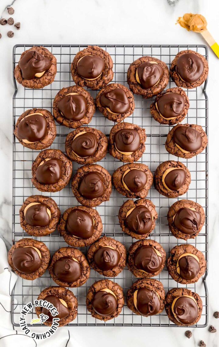 Buckeye Brownie Cookies