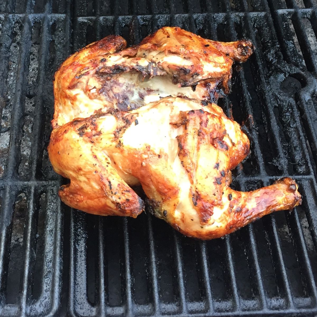 chicken on the grill 