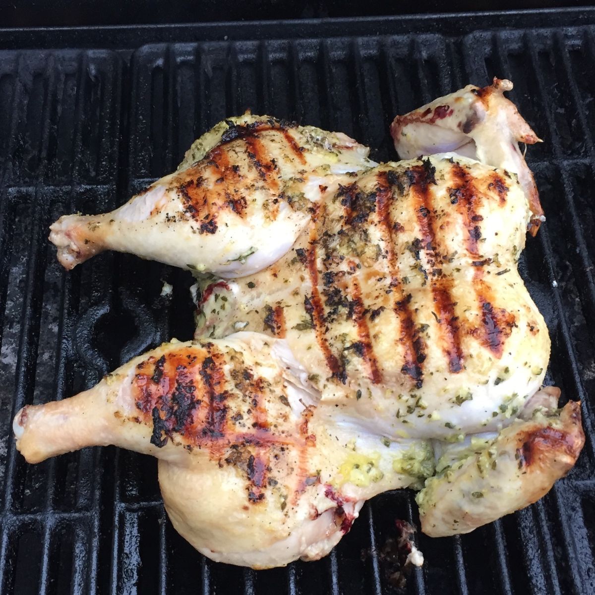 Grilled chicken.