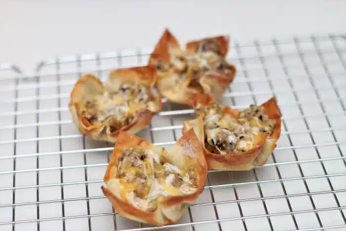 sausage wontons
