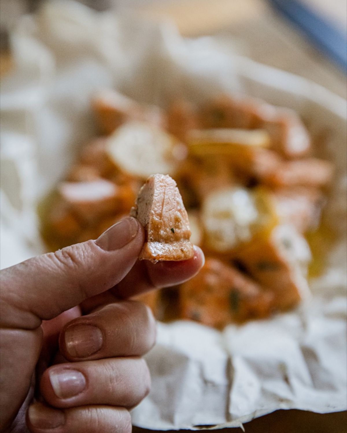 A woman's hand holding a salmon bite close up. 
